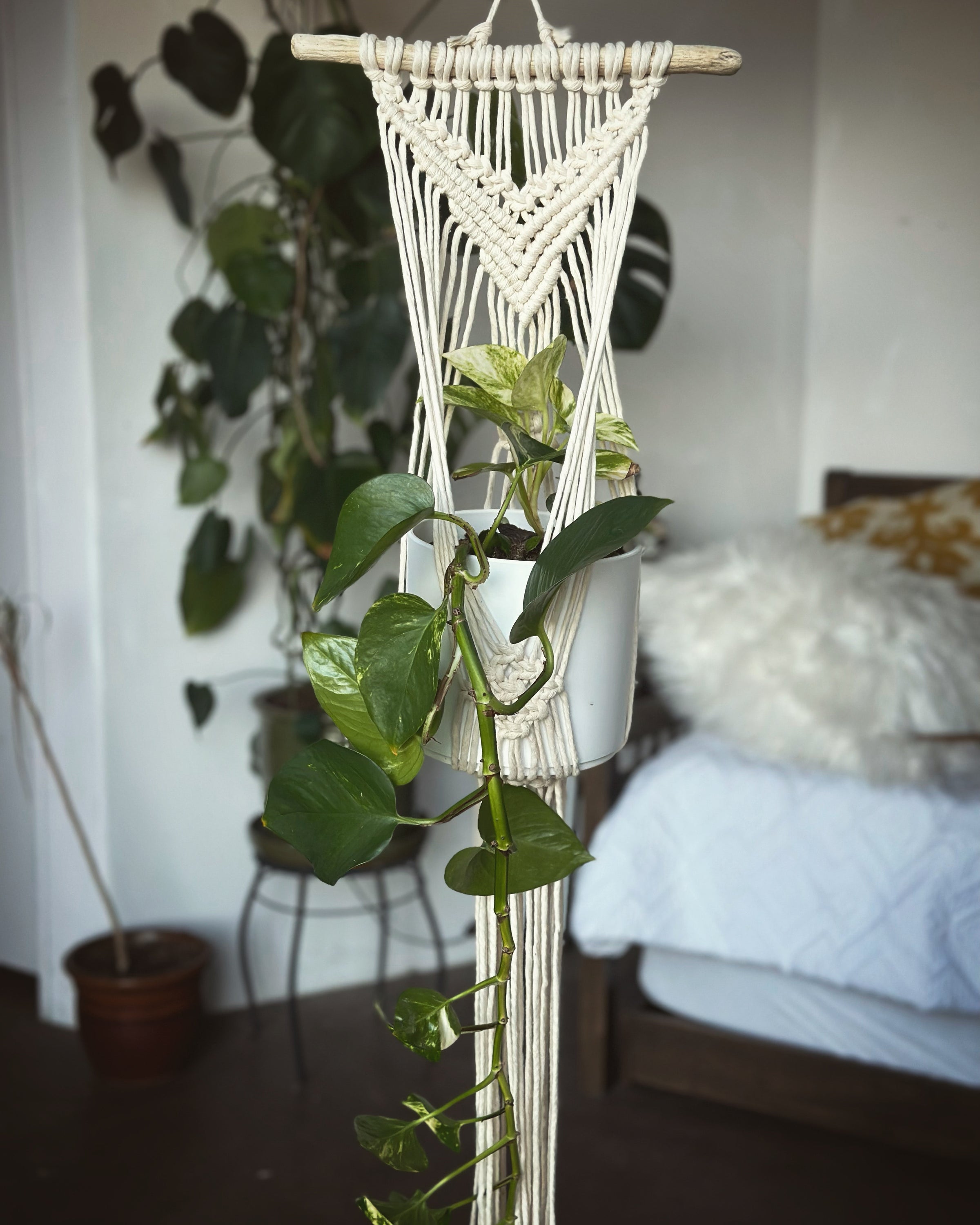 Wall Plant Hanger | Melrose Macrame