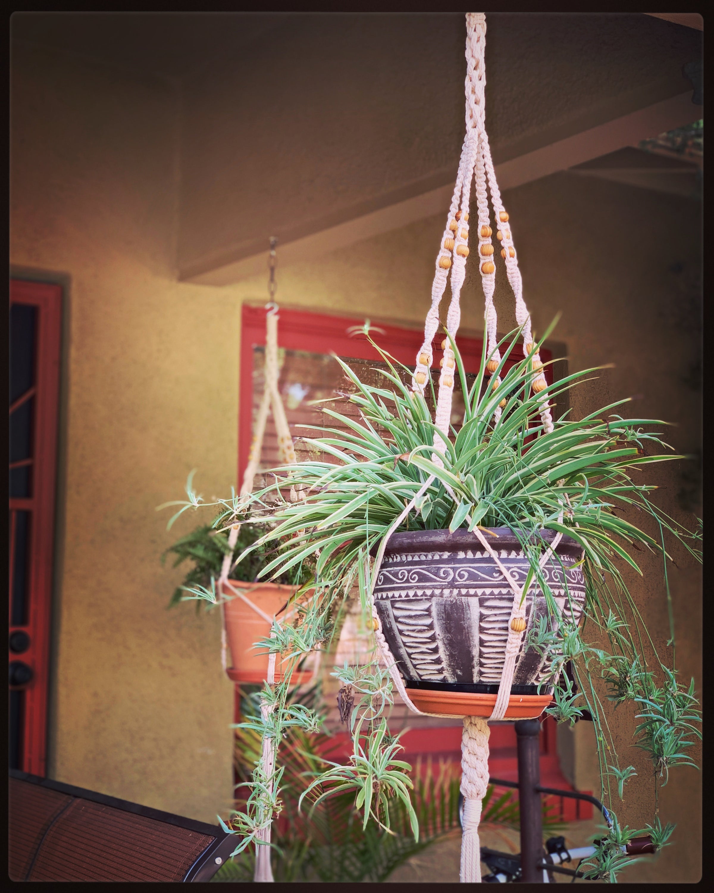 Extra Large Macrame Plant Hanger | Melrose Macrame