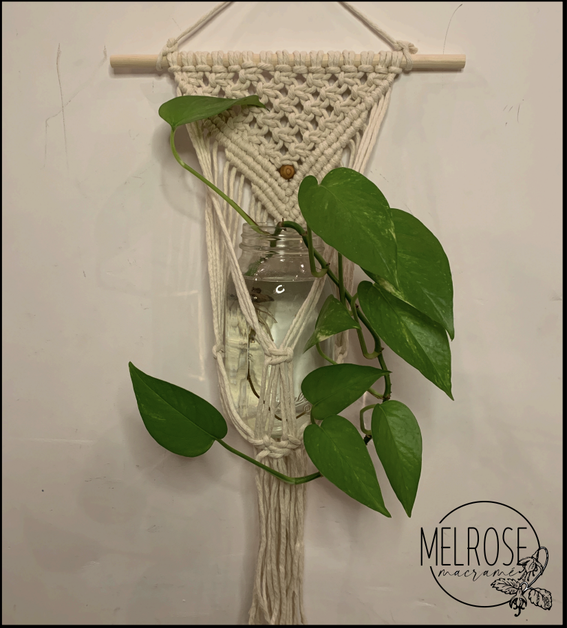 The Succulent Macrame Kit – MUSEjar